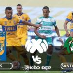 Nhận định soi kèo Tigres UANL vs Santos Laguna 10h00 ngày 31/08